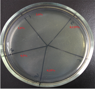 Бактерицидное действие растворов AlfaLine VET на Staphylococcus aureus